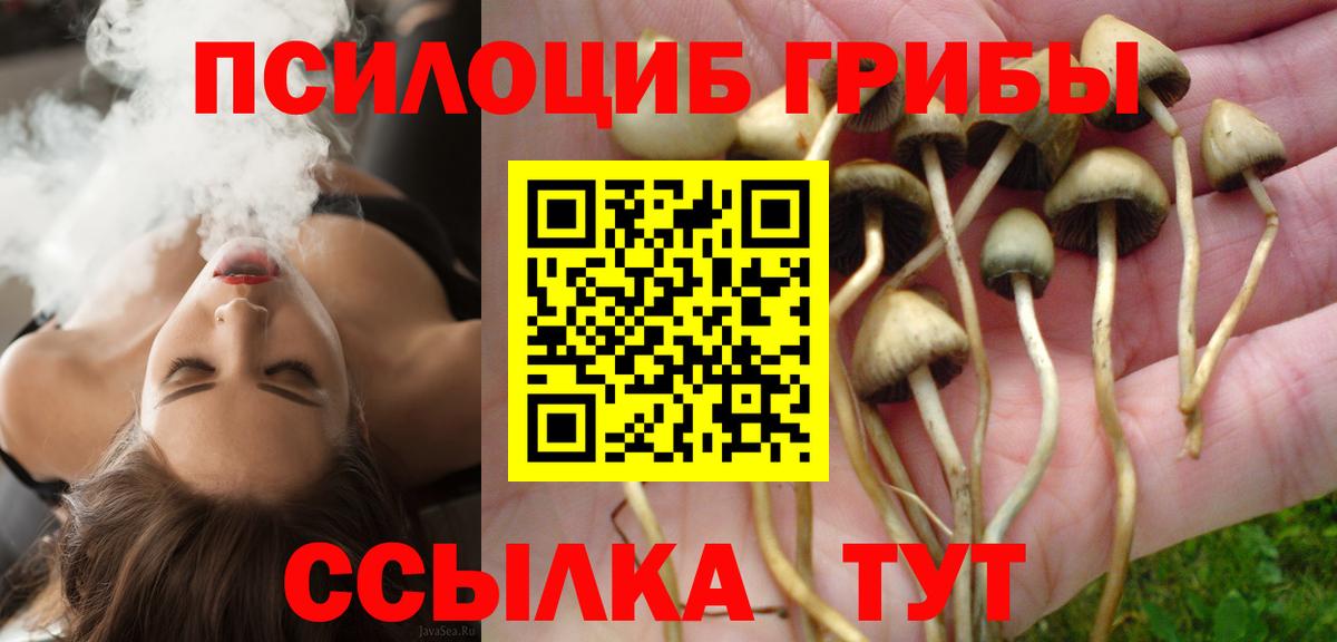 Галлюциногенные грибы Magic Shrooms  Вход с VPN  Новоалександровск  Галлюциногенные грибы ЛСД 